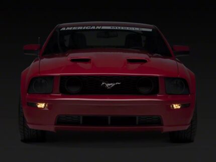 Turn Signal Lights; Smoked